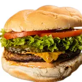 Beef Burger Sandwich Regular 