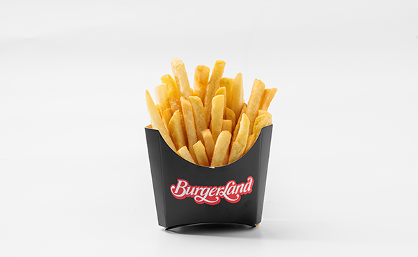 Regular French Fries 