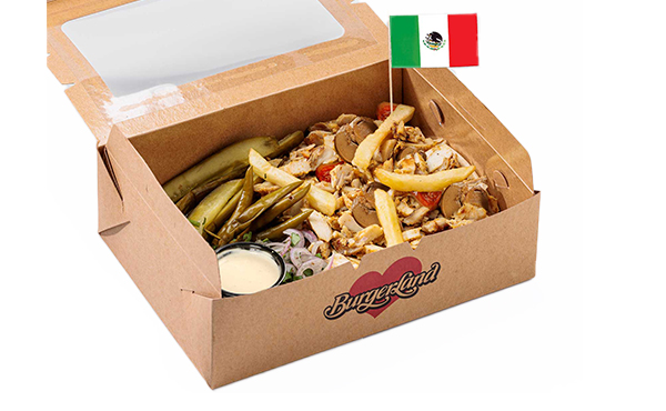 Mexican chicken shawarma Plate