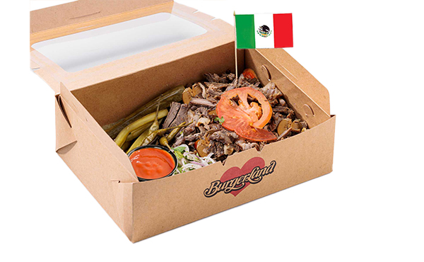 Mexican Beef shawarma Plate